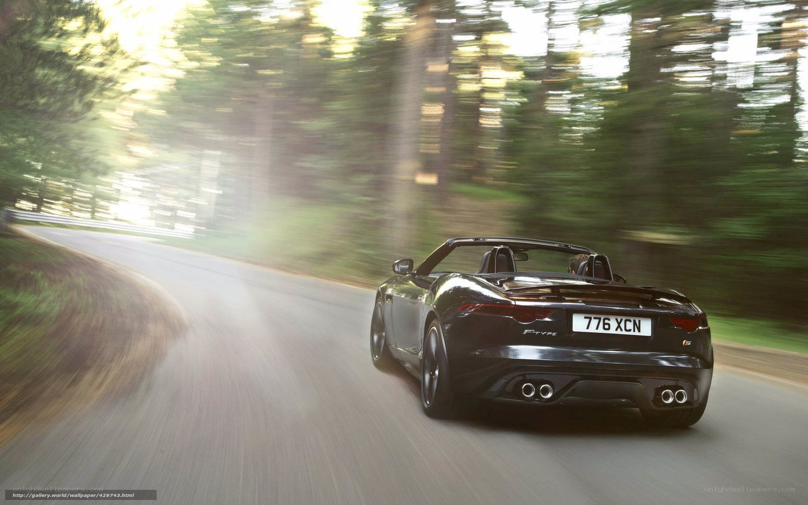 Jaguar F-Type driving on a forest road