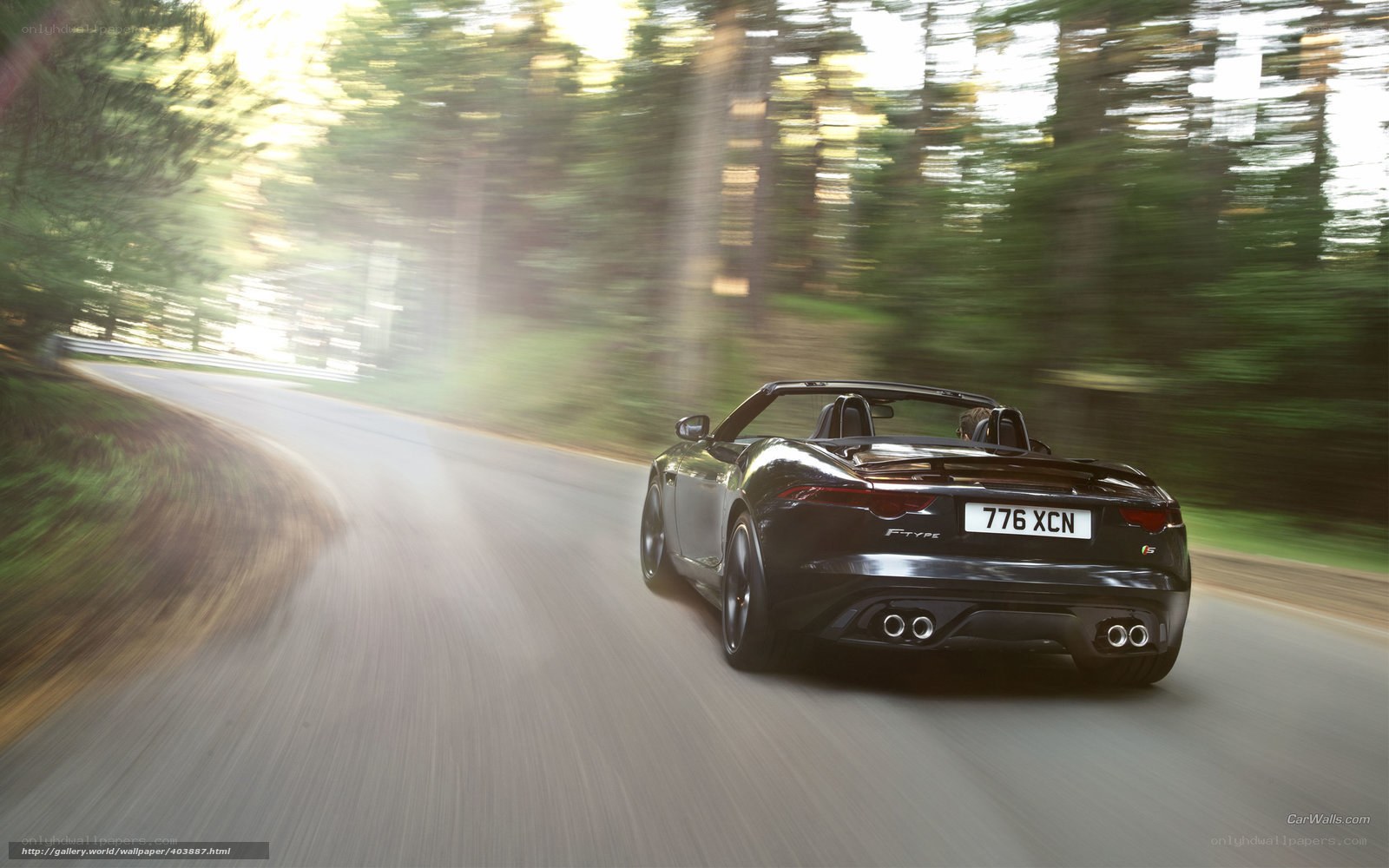 Jaguar F-Type driving on forest road