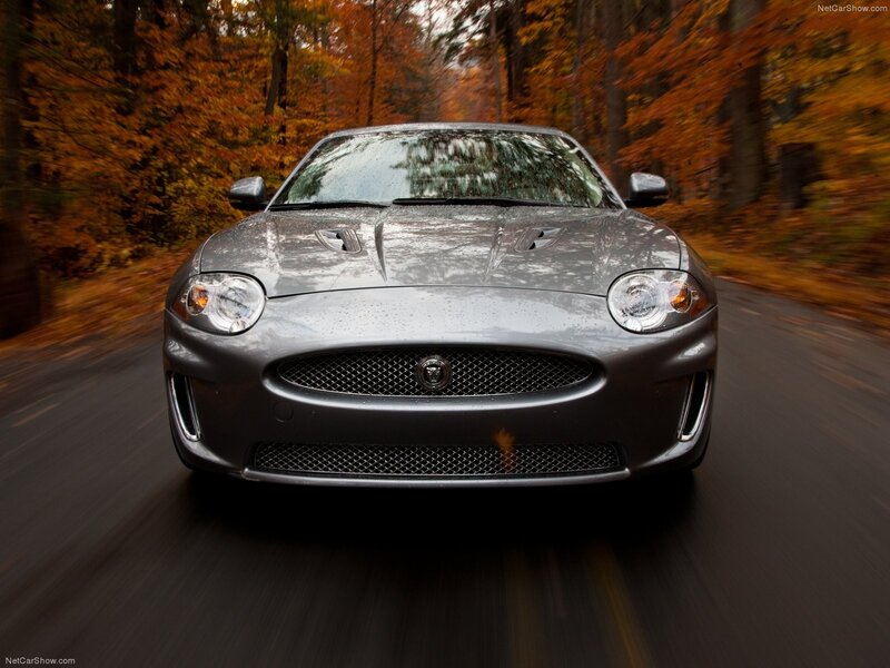 Jaguar F-Type in autumn forest