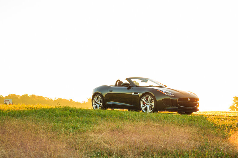 Jaguar F-Type on a grassy hill