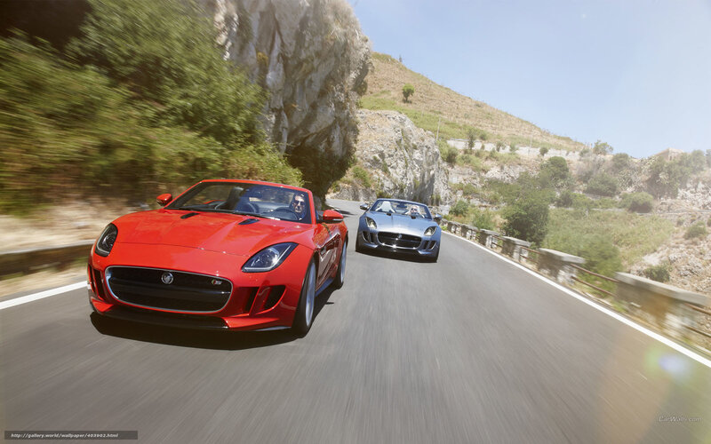 Jaguar F-Type sports cars on road