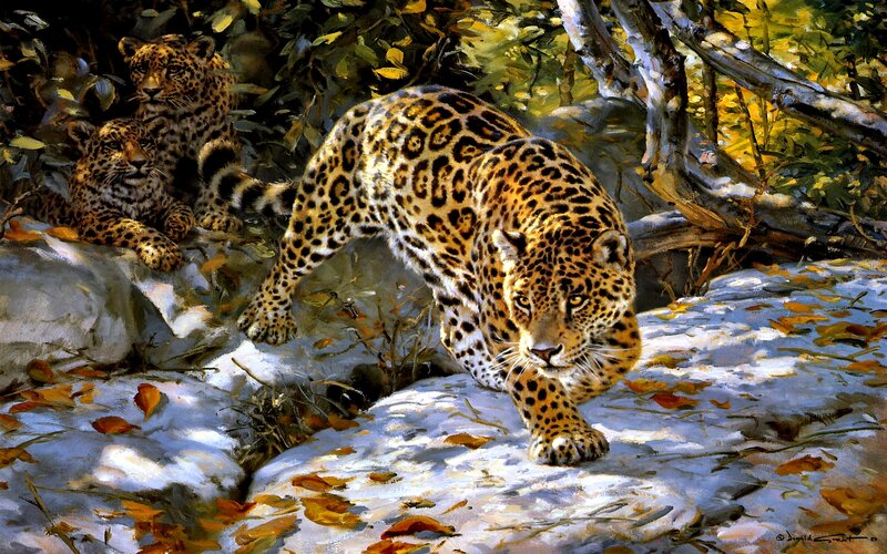 Jaguar Family in Forest