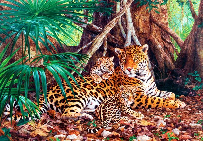 Jaguar Family in Jungle — Green