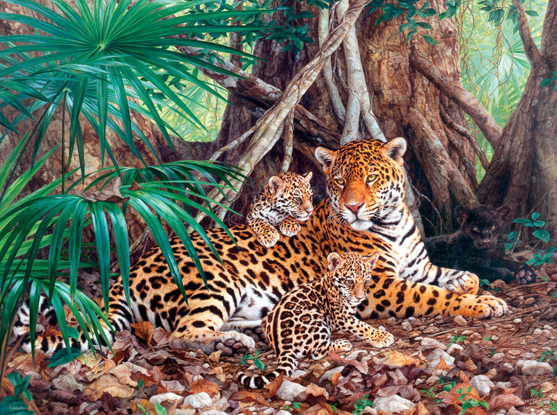 Jaguar Family in Jungle