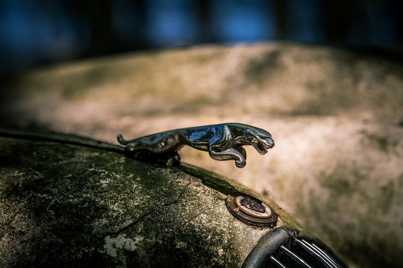 Jaguar Hood Ornament — Black, Dramatic