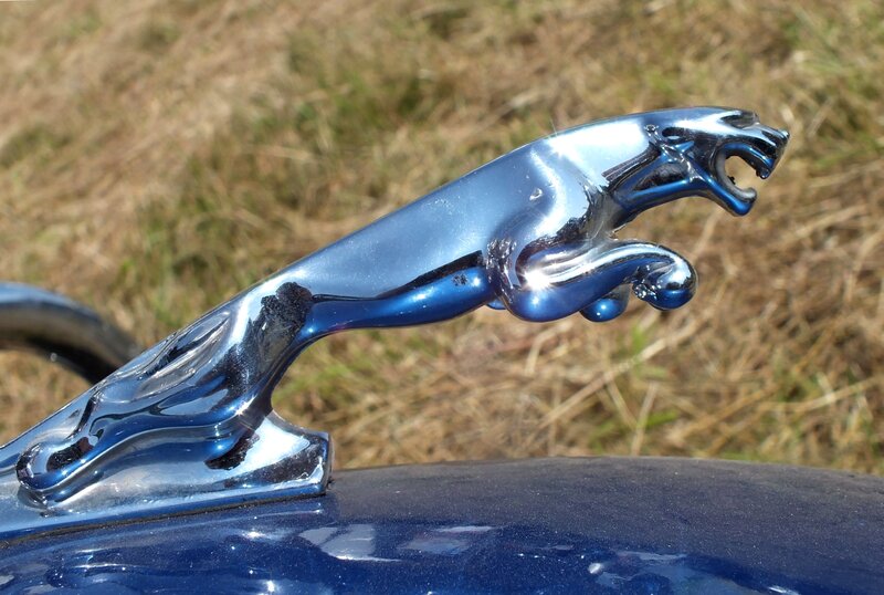 Jaguar Hood Ornament — Blue