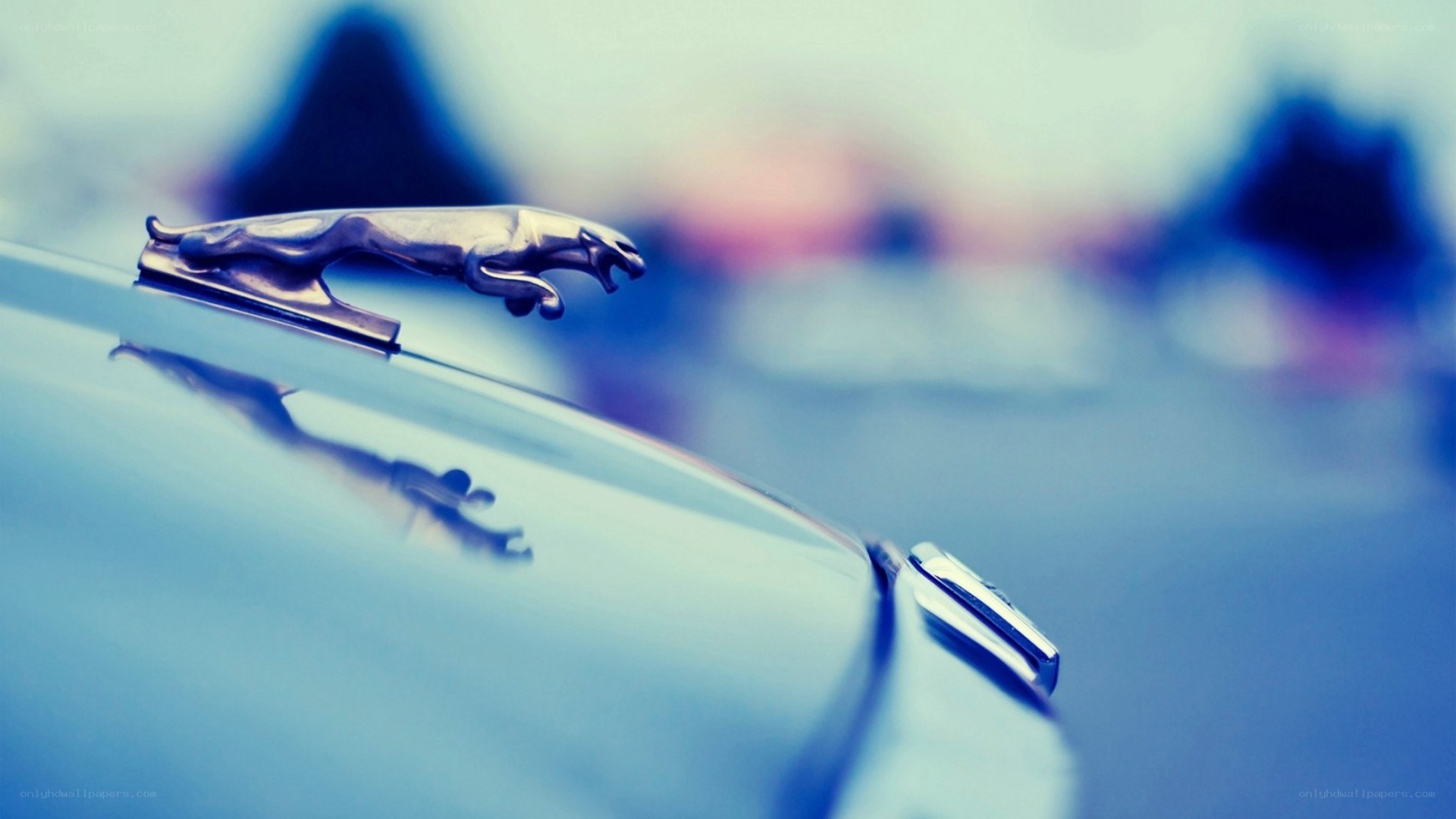 Jaguar hood ornament close-up