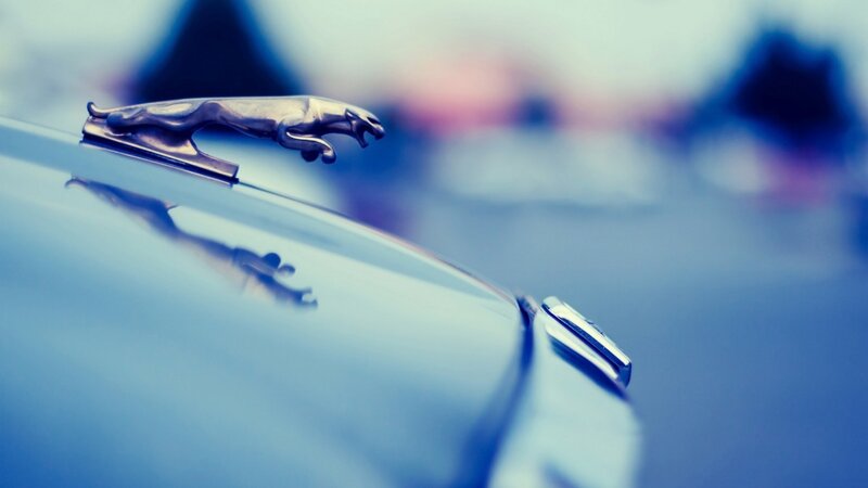 Jaguar hood ornament close-up