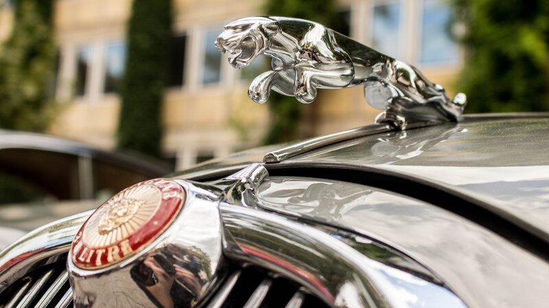 Jaguar Hood Ornament — Silver