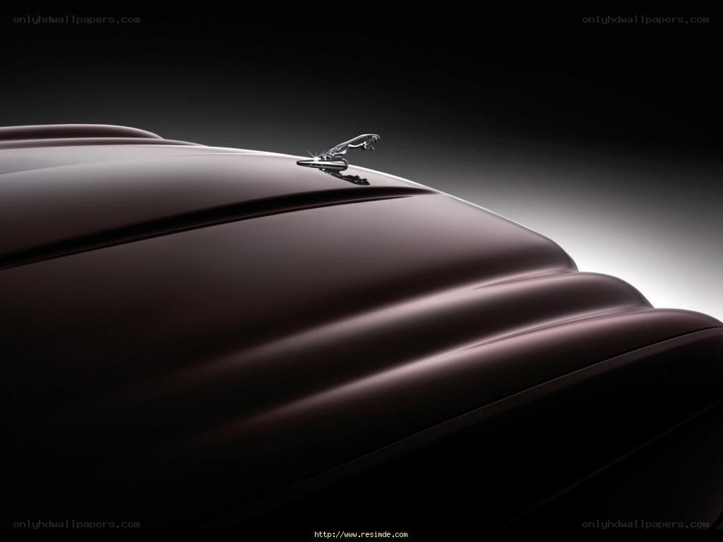 Jaguar hood ornament
