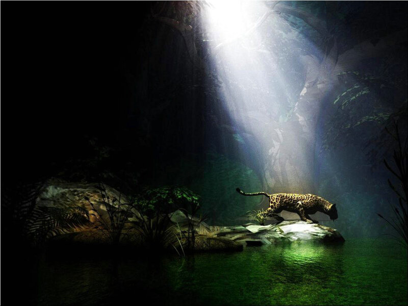 Jaguar in jungle cave