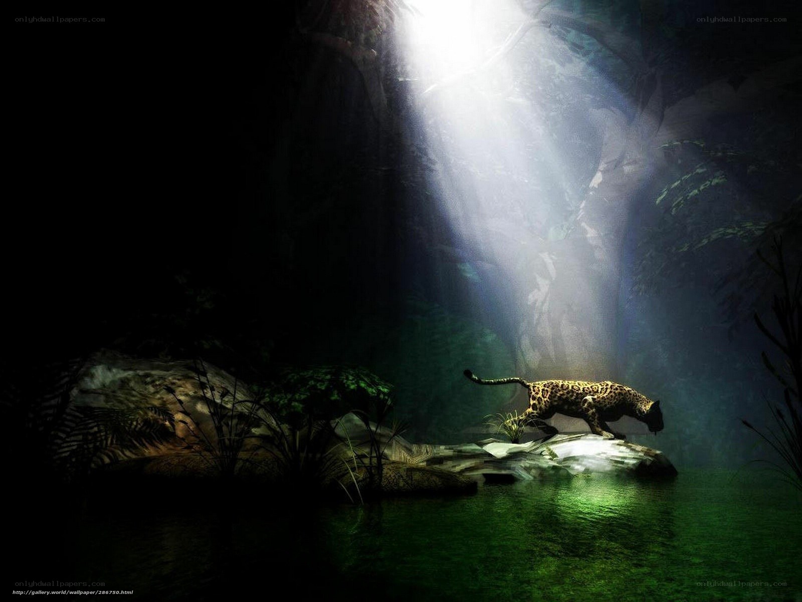 Jaguar in jungle light