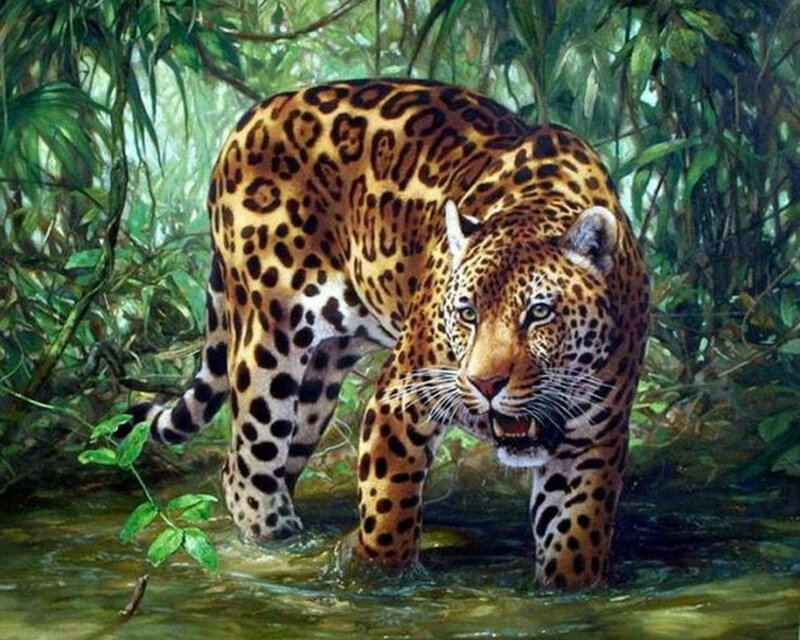 Jaguar in Water — Green