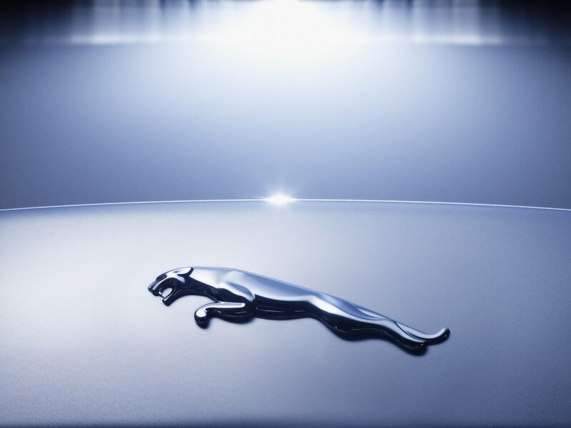 Jaguar logo on car hood