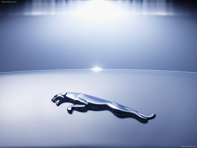 Jaguar logo on car hood
