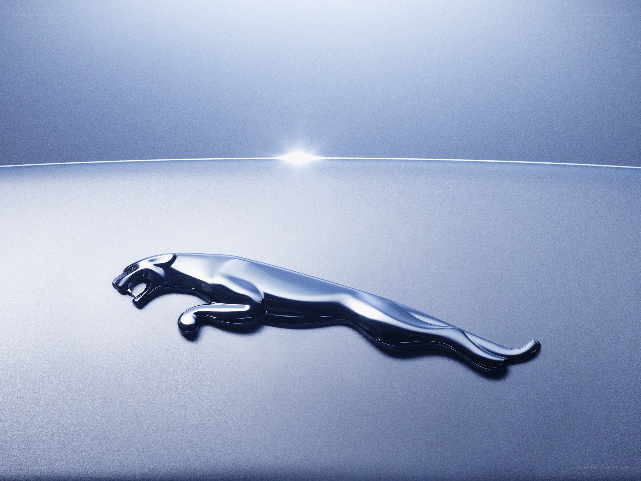 Jaguar logo on car hood
