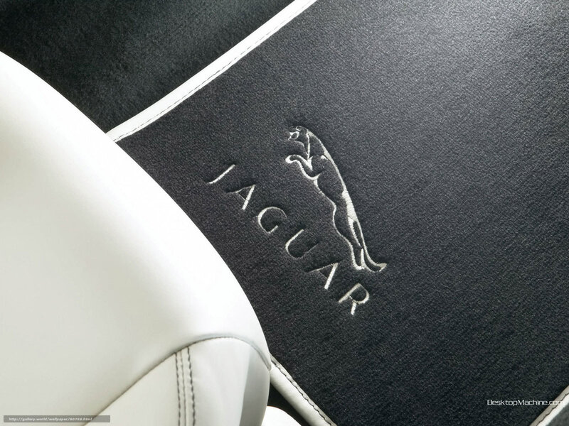 Jaguar Logo on Car Seat