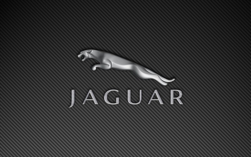 Jaguar Logo on Carbon Fiber — Black, Minimalist