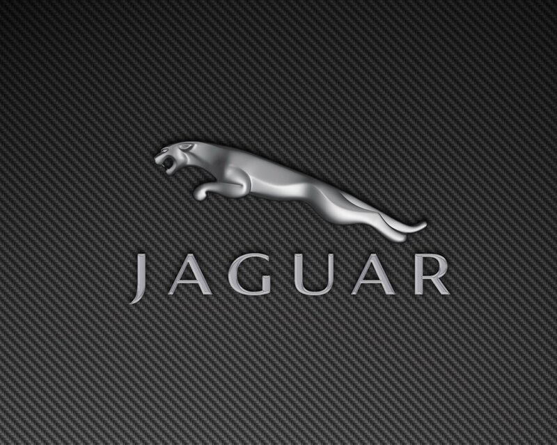 Jaguar Logo on Carbon Fiber — Black