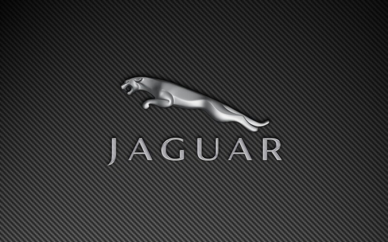 Jaguar Logo on Carbon Fiber