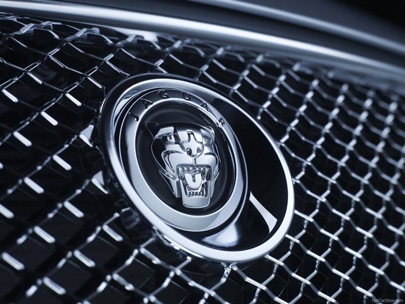 Jaguar logo on grille