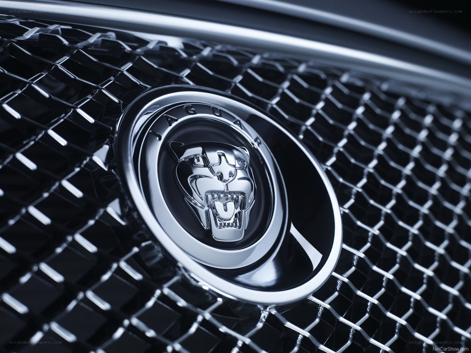 Jaguar logo on grille
