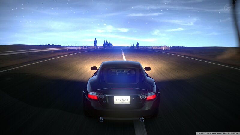 Jaguar on a night road