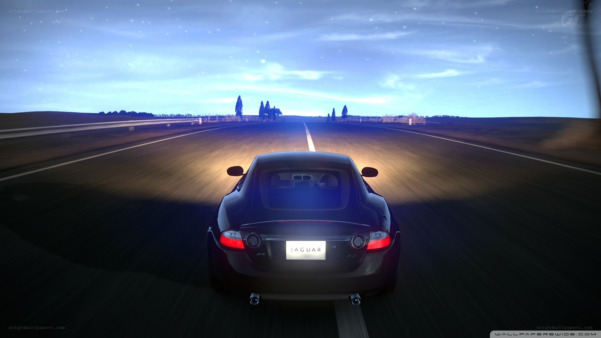 Jaguar on a night road