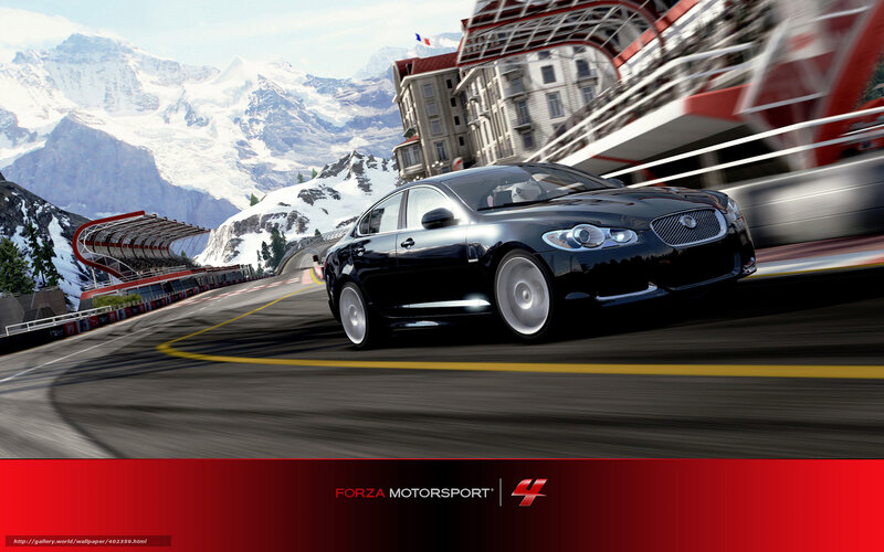 Jaguar on mountain track