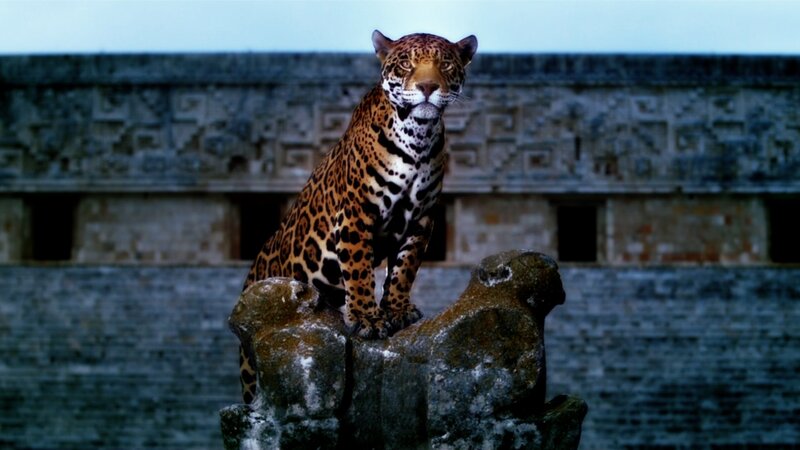 Jaguar on Stone Sculpture