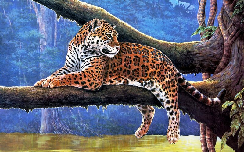 Jaguar on Tree Branch