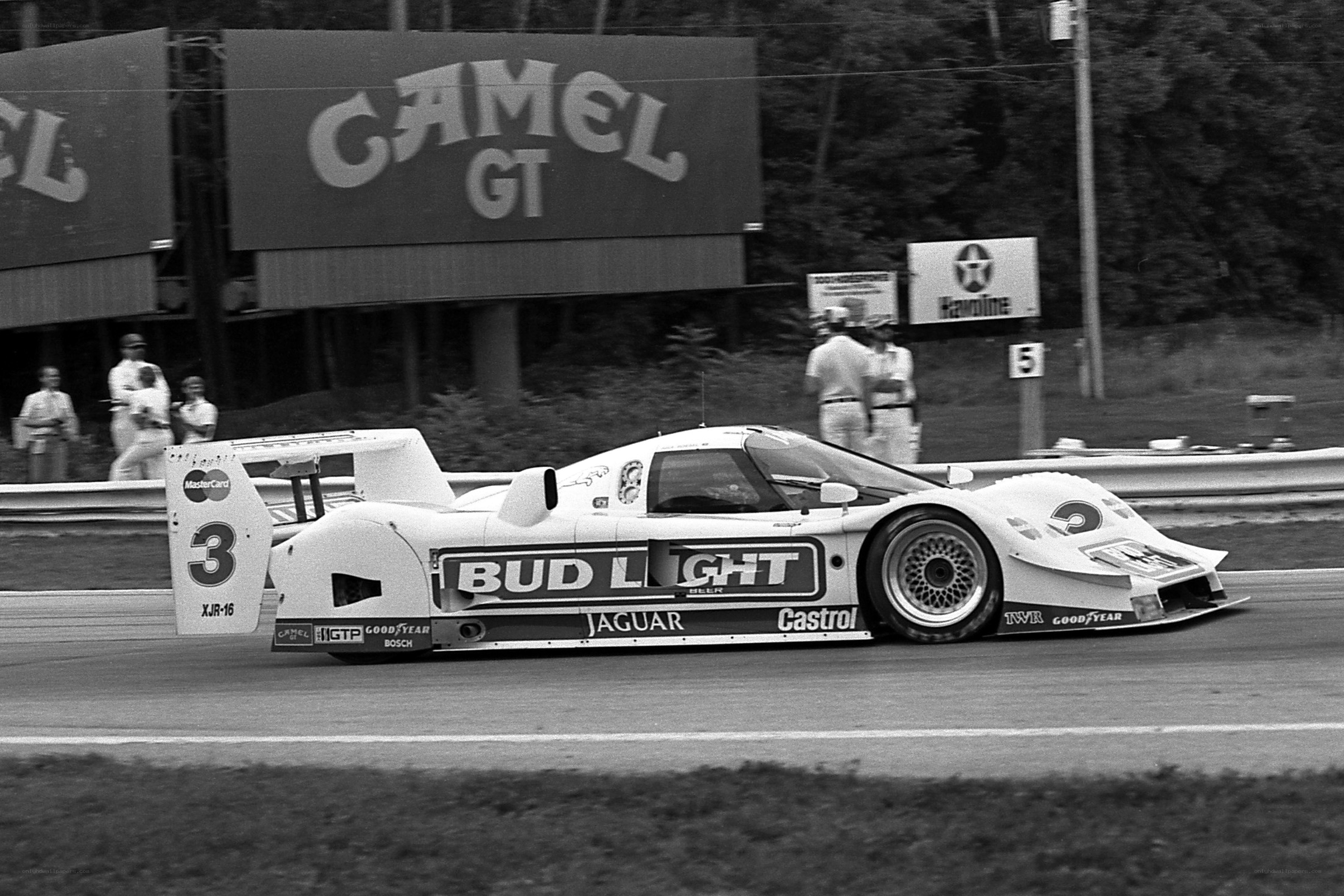 Jaguar racing car on track
