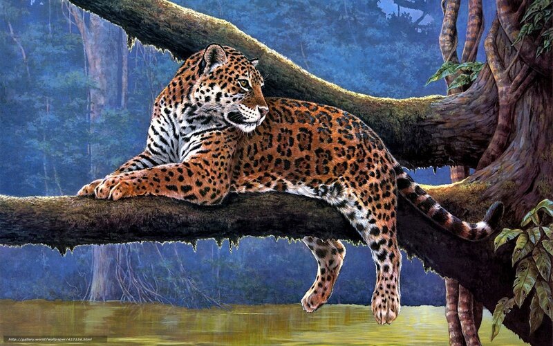 Jaguar resting on a tree branch