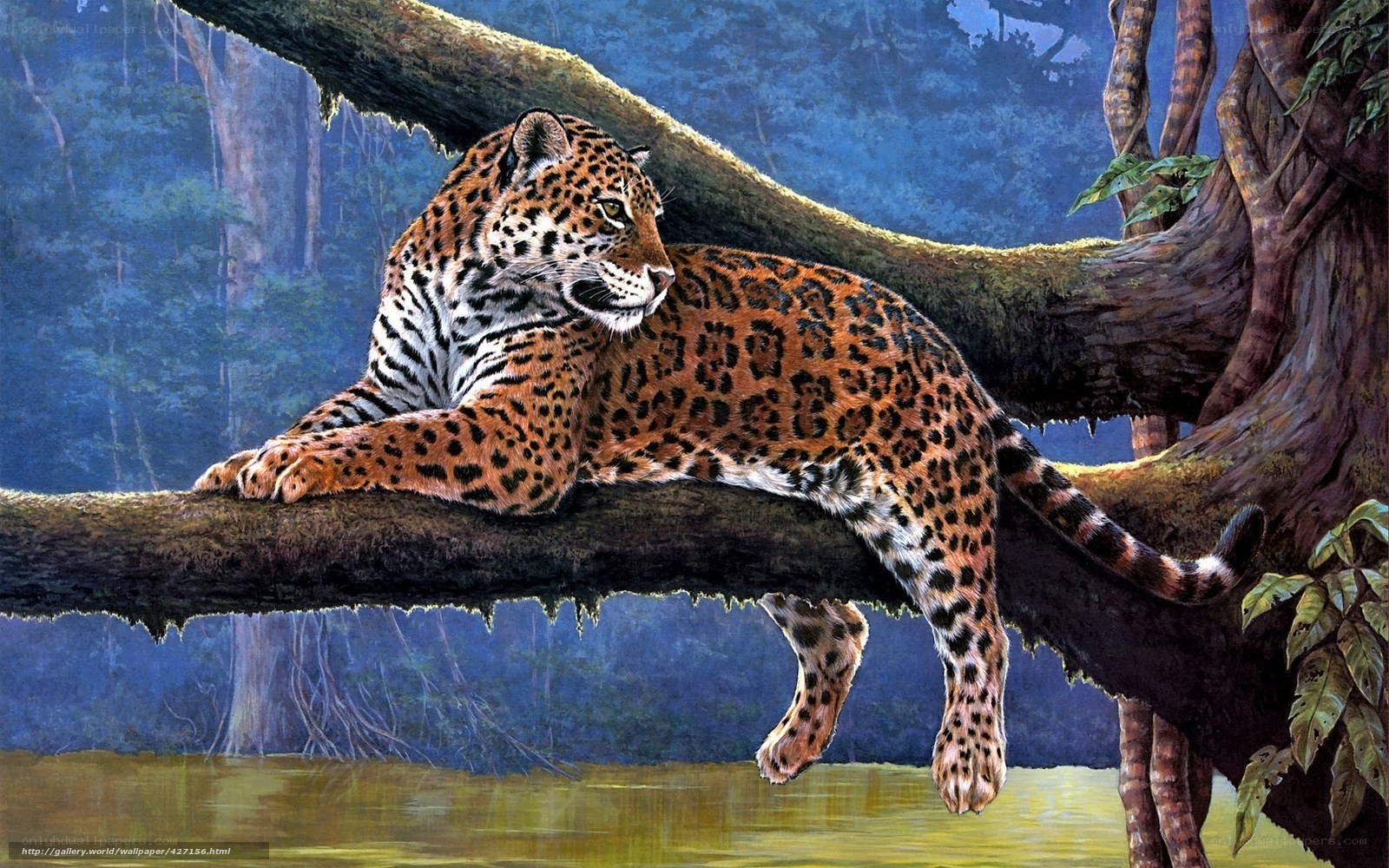Jaguar resting on a tree branch