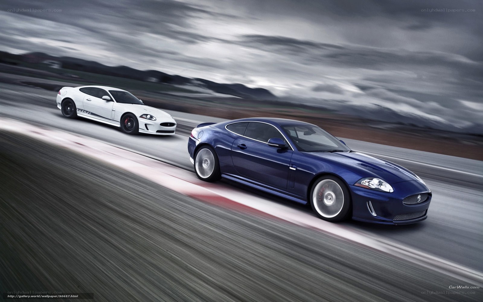Jaguar sports cars on track