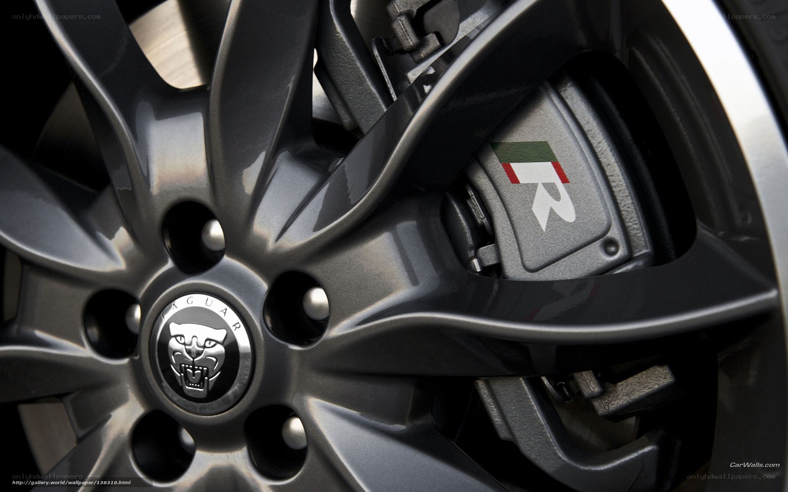 Jaguar wheel and brake system