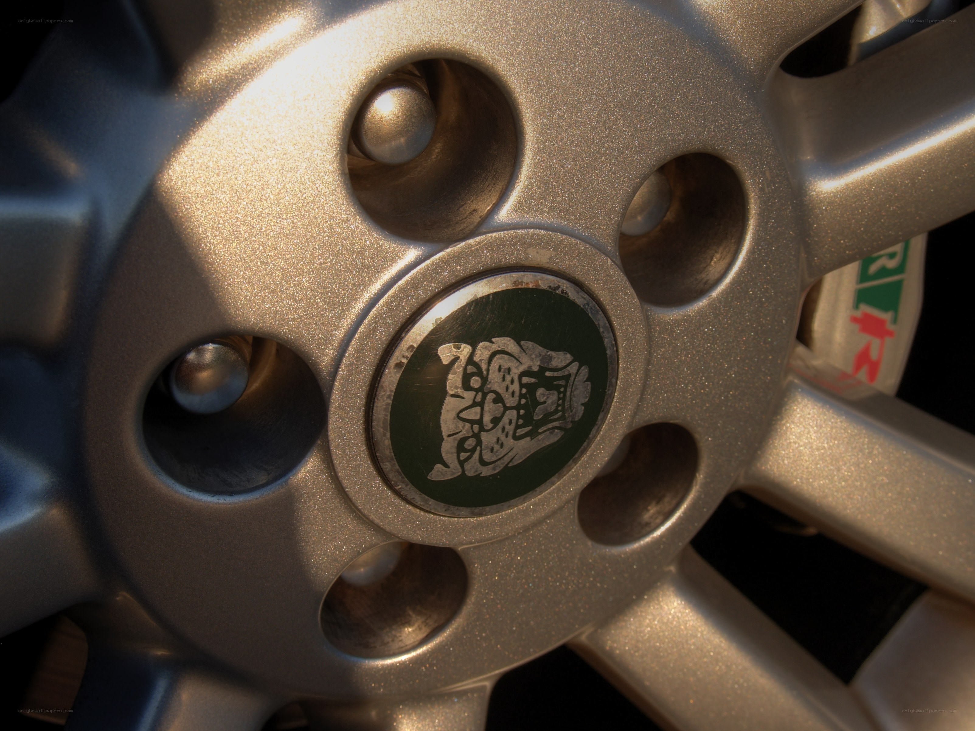 Jaguar wheel center cap
