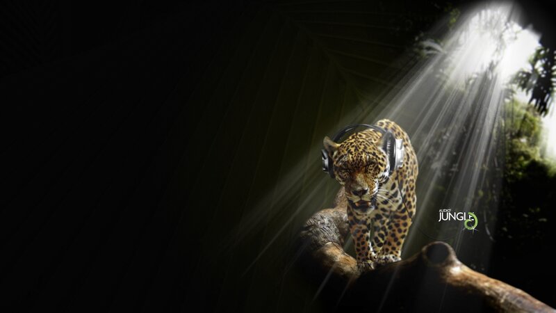 Jaguar with headphones in jungle