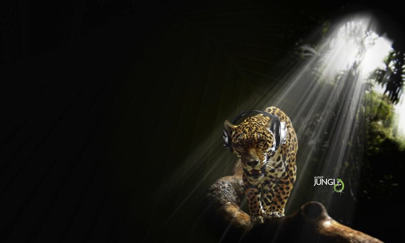 Jaguar with headphones in jungle