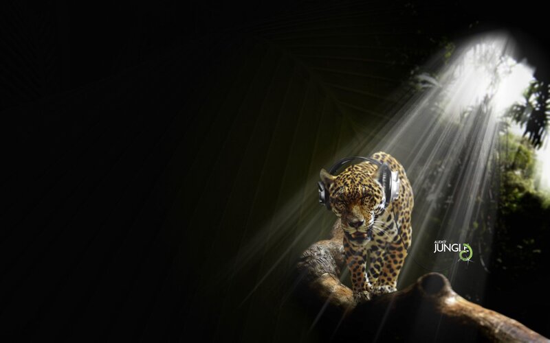 Jaguar with headphones in jungle