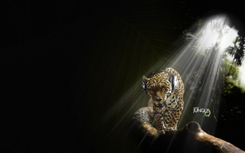 Jaguar with headphones in jungle