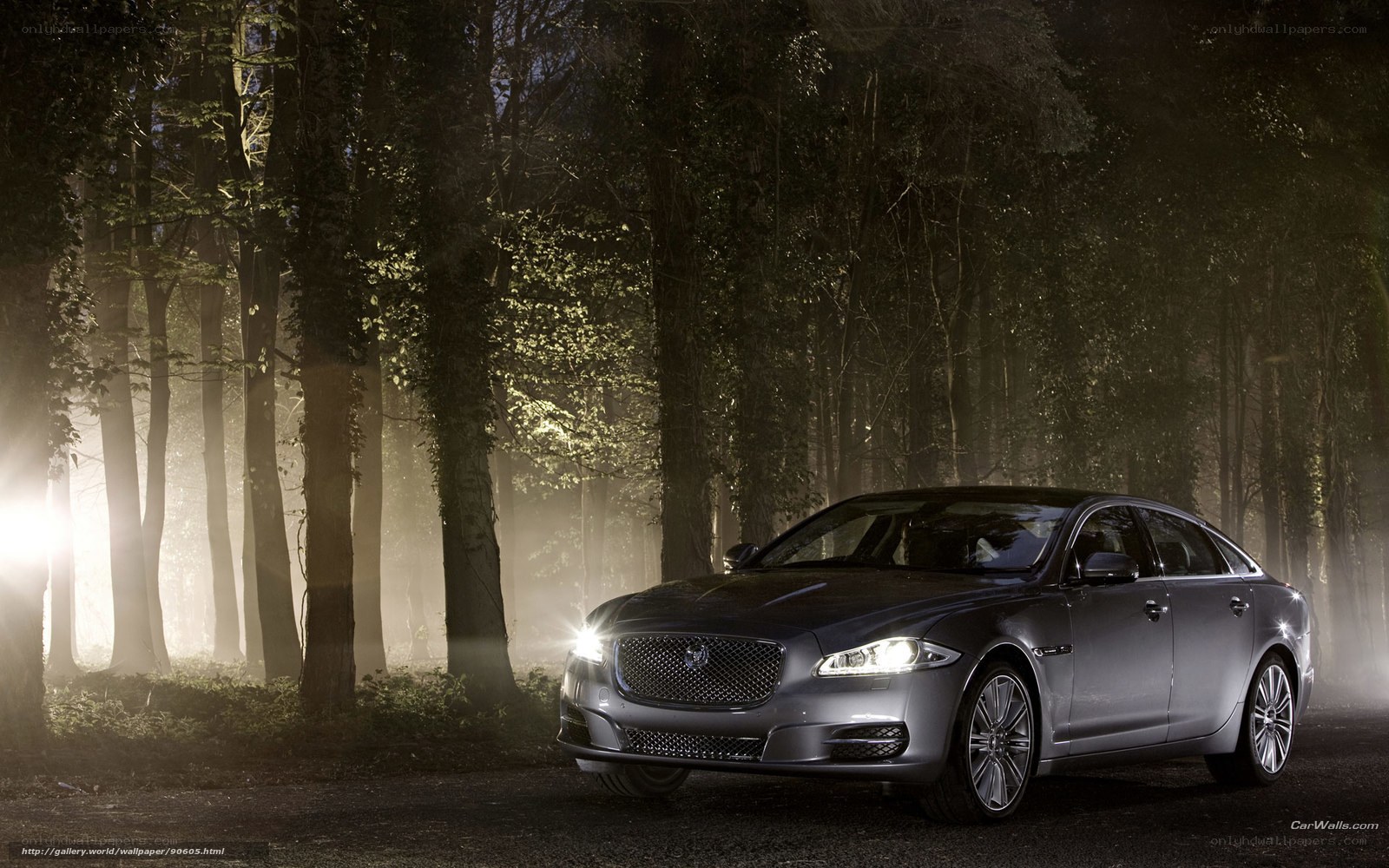 Jaguar XJ in misty forest