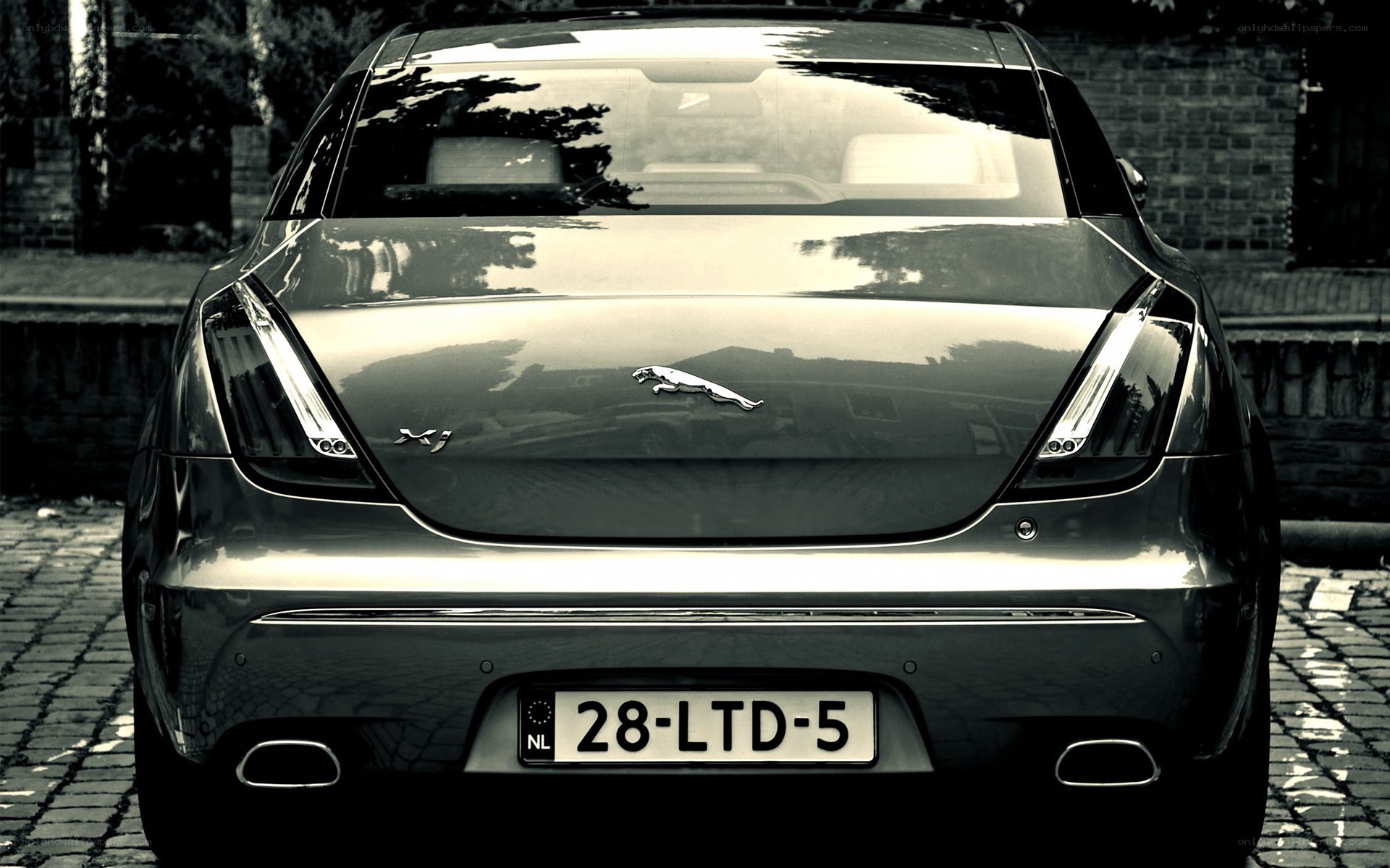Jaguar XJ rear view
