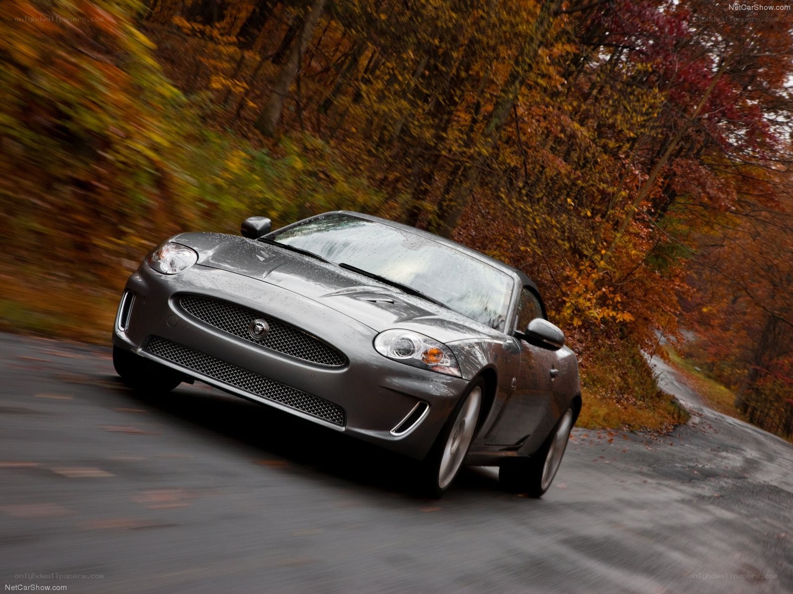 Jaguar XK driving on a forest road