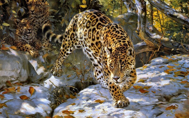 Jaguars in forest scene