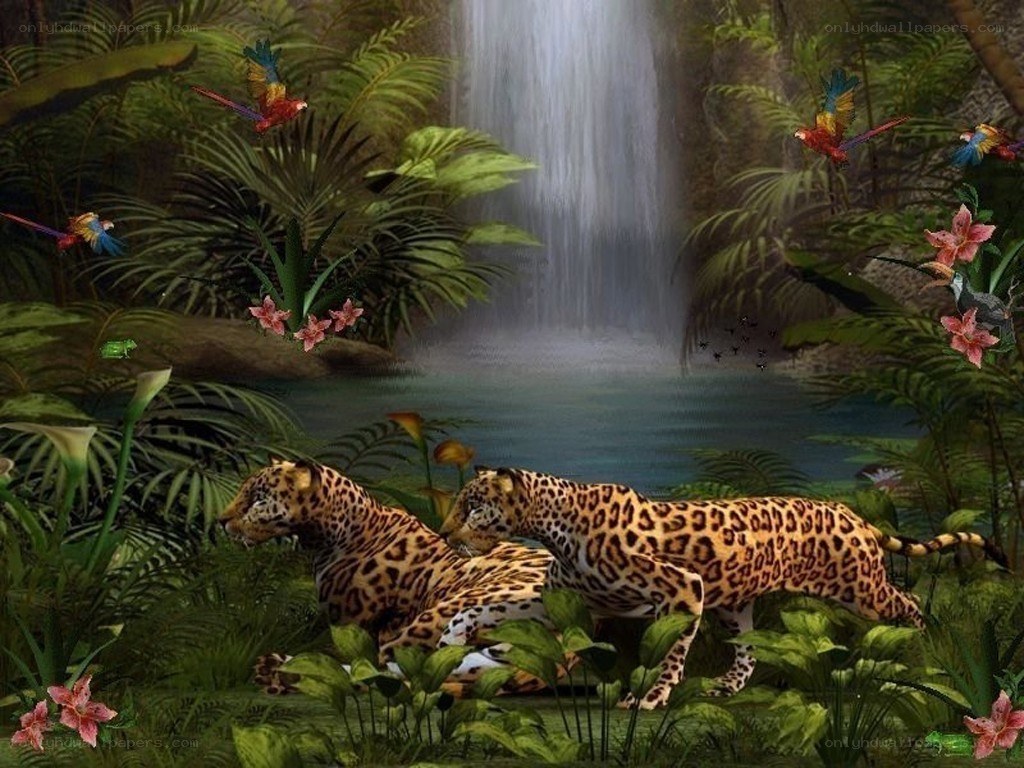Jaguars in jungle waterfall