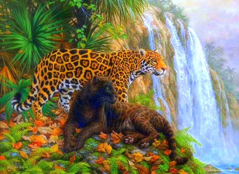 Jaguars Near Waterfall