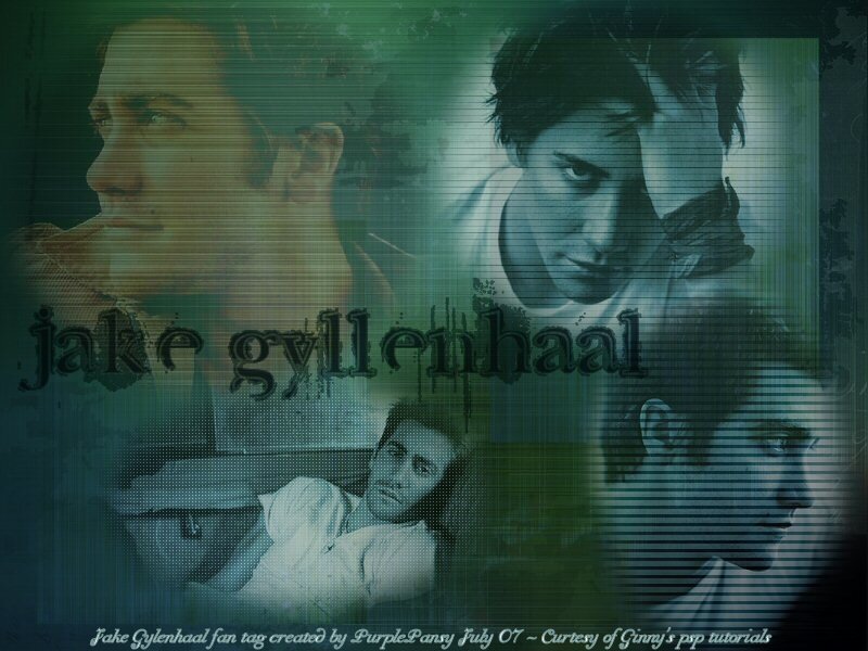 Jake Gyllenhaal fan tag collage