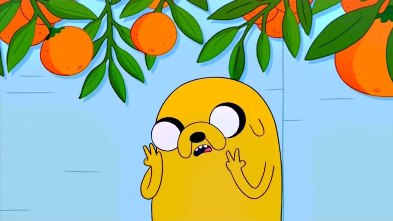 Jake the Dog in an orange grove