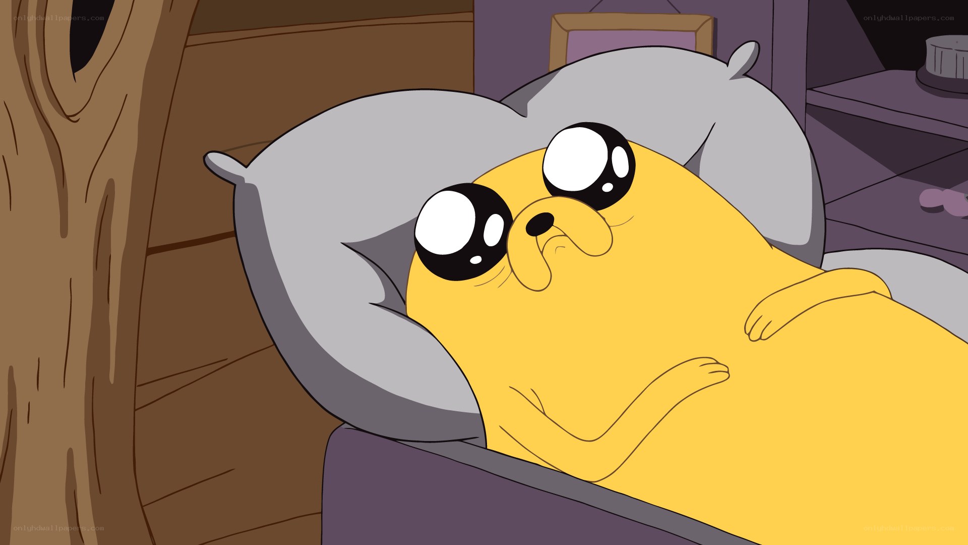 Jake the Dog in Bed